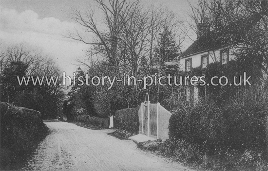 The Village, White Notley, Essex. c.1906